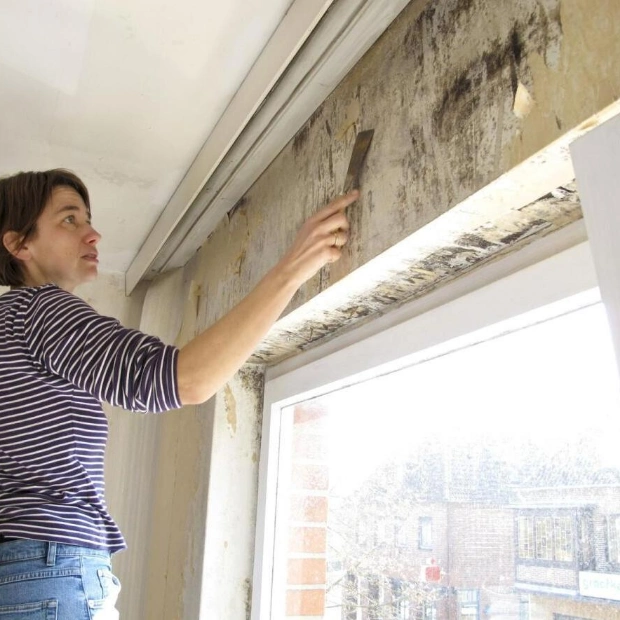 Mould Infestation Surges in UAE Homes During Summer