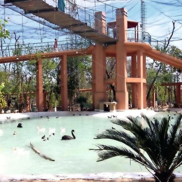 A Symphony of Avian Life: Islamabad’s Lake View Park Aviary