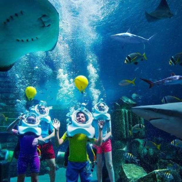 Океанариум The Lost Chambers в Дубае: Сезон «Summer of Sharks»
