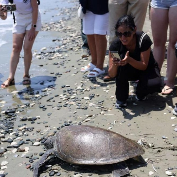 Endangered Green Sea Turtle Lucy Returns to Cyprus Waters