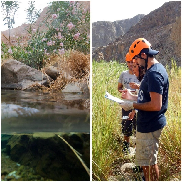 Explore Wadi Wurayah: UAE's First Protected Mountain Area