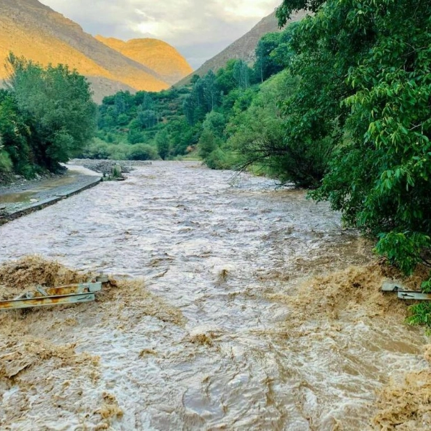 Heavy Rain in Eastern Afghanistan Claims 35 Lives and Injures 230