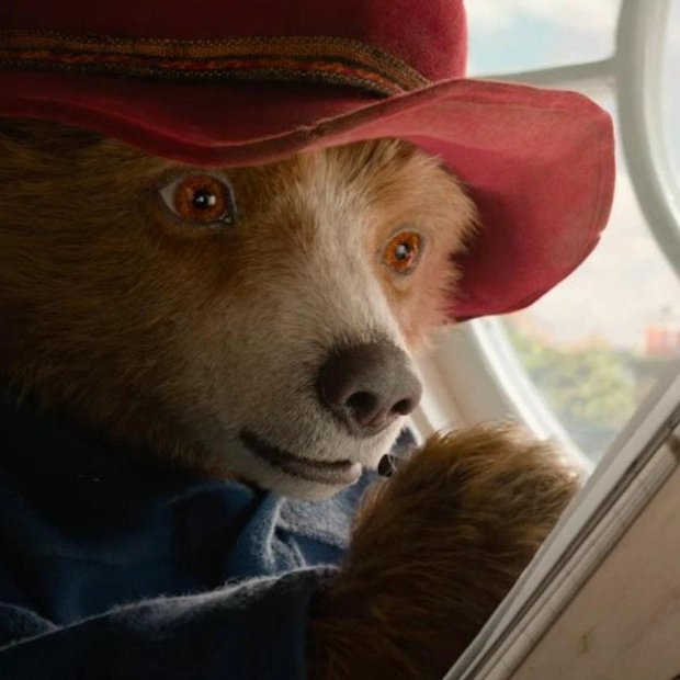 Baby Paddington Takes a Wholesome Adventure in Peru