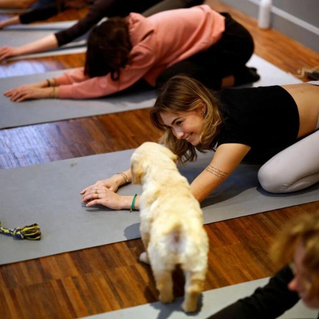 Puppy Love Meets Mindfulness: Yoga with Adorable Puppies