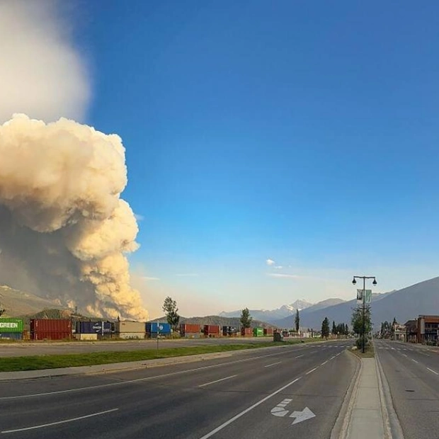 Tragic Loss: Firefighter Killed by Falling Tree During Alberta Wildfire