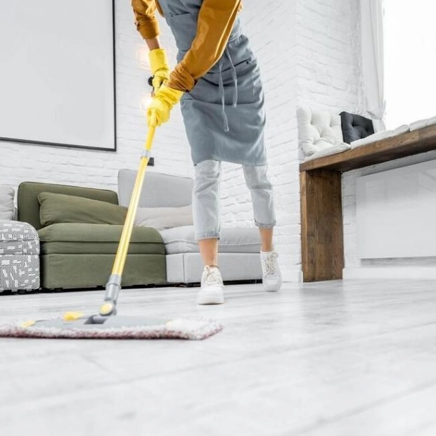 Dubai Now App Simplifies Domestic Worker Visa Services