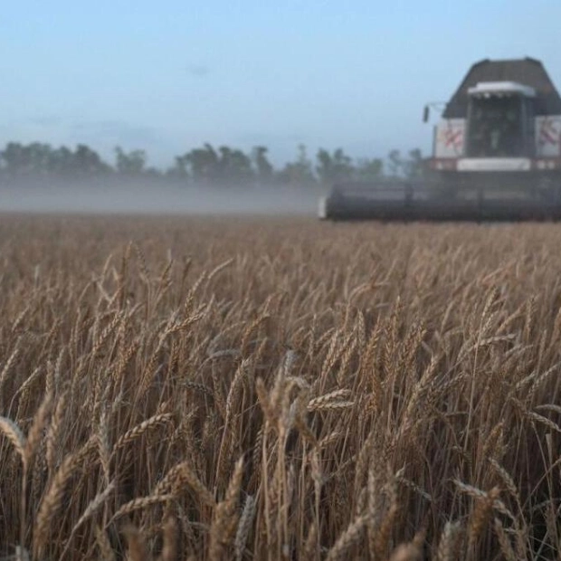 Russia Maintains Grain Harvest Forecast Despite Adverse Weather