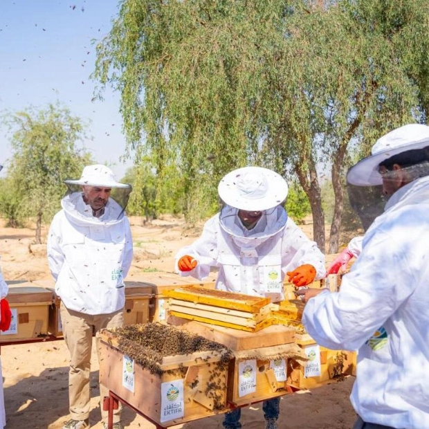 First Honey Harvest in Sharjah's Al Muntathar Reserve