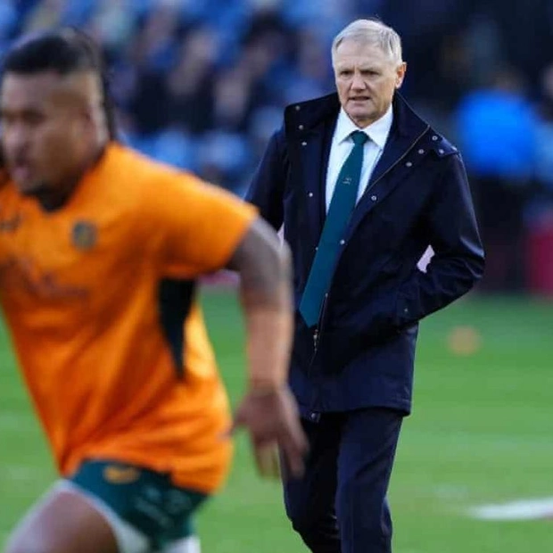 Australia's Resurgence: Schmidt's Impact on the Wallabies