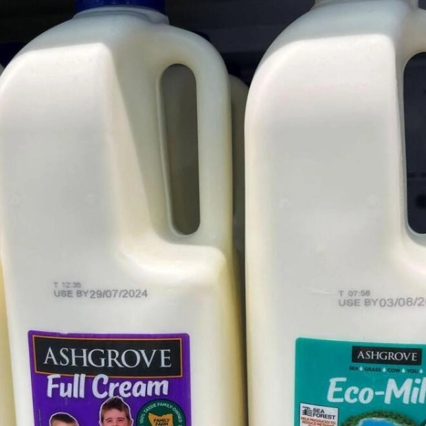 Tasmanian Dairy Launches World's First Seaweed-Fed Cow Milk
