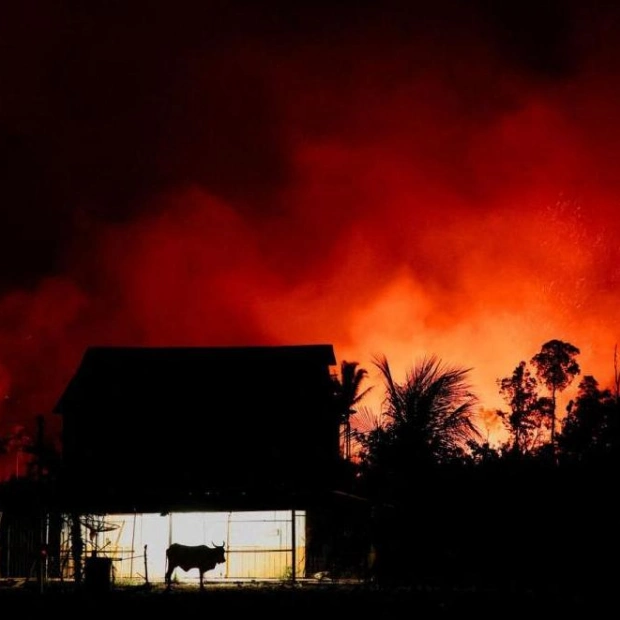 Amazon Rainforest Loss Fuels Climate Crisis