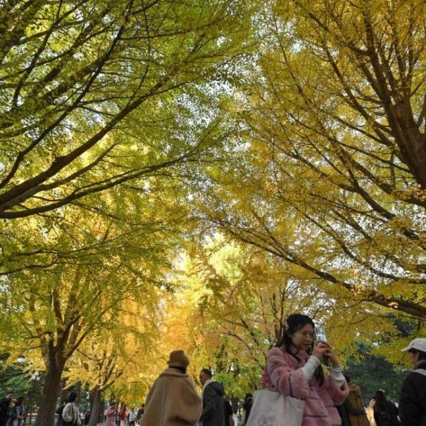 China Experiences Warmest Autumn on Record