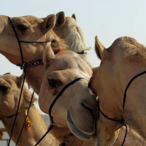 New Eco-Project in Sharjah to Feature Free-Roaming Animals