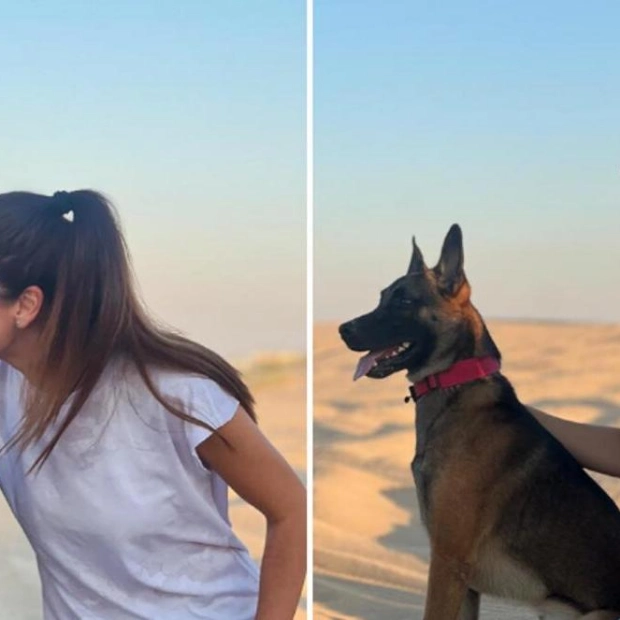 How UAE Residents Ensure Pet Care During Summer Vacations