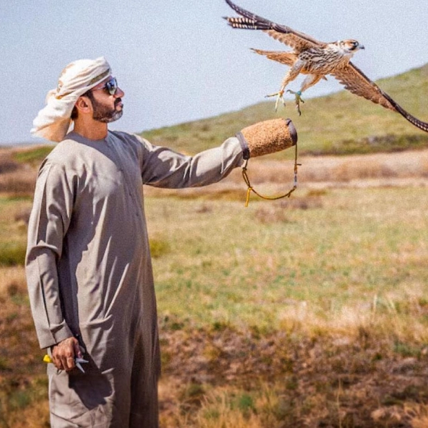 Sheikh Zayed Falcon Release Programme Marks 30 Years of Conservation