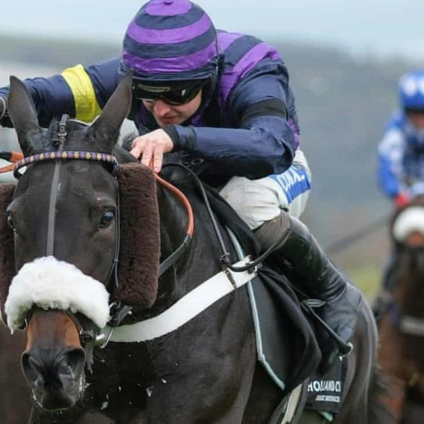 Triple Tragedy Casts Shadow Over Cheltenham Racing