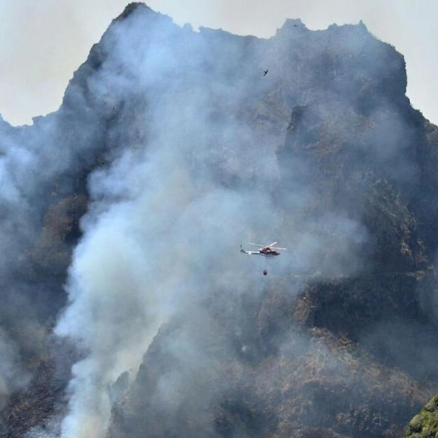 EU Sends Water-Bombing Planes to Aid Madeira Wildfire Fight