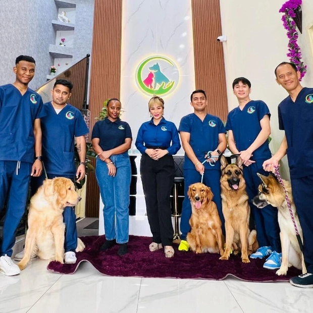 Fancy&Furry Pets Care Introduces Advanced Dog Training in Dubai