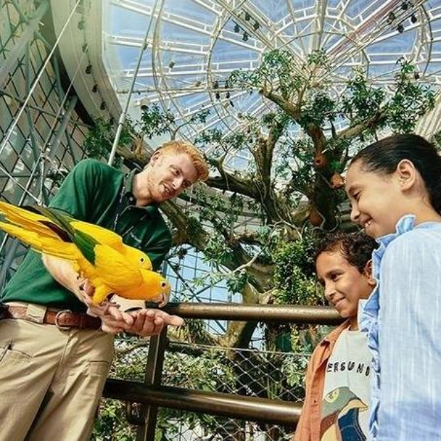 Green Planet Dubai: Новый квест «Jungle Quest» для юных исследователей