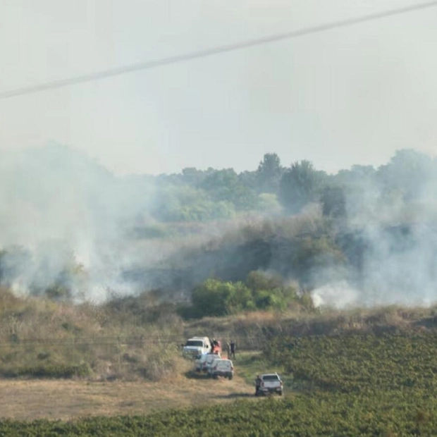 Yemen's Houthis Fire Missile at Israel, IAF Intercepts