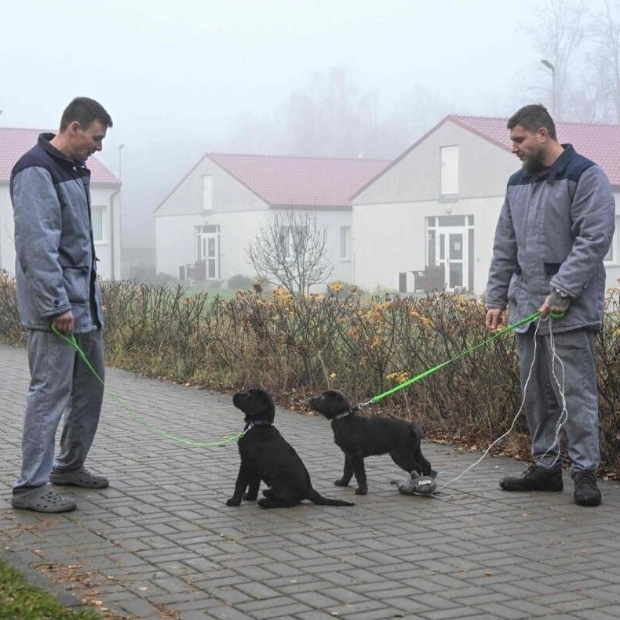 Prisoners Train Puppies to Be Assistance Dogs