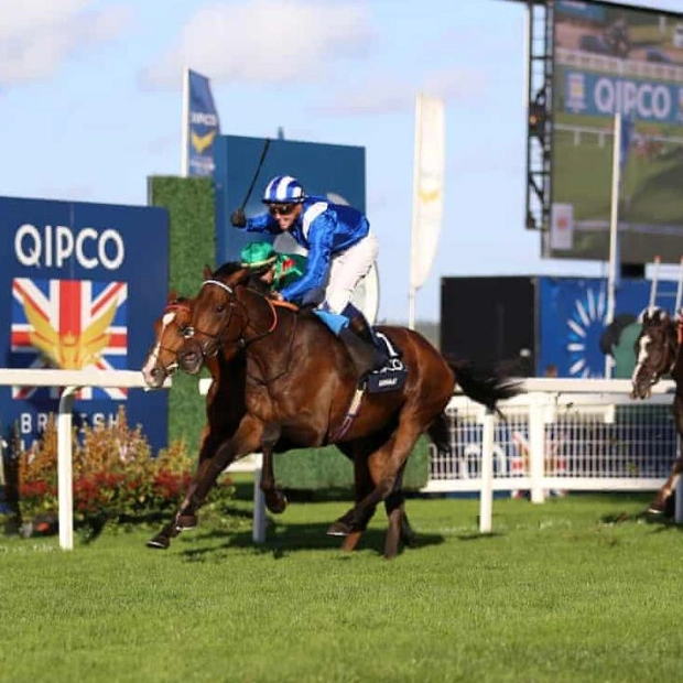 Unexpected Twist: Anmaat Wins Champion Stakes