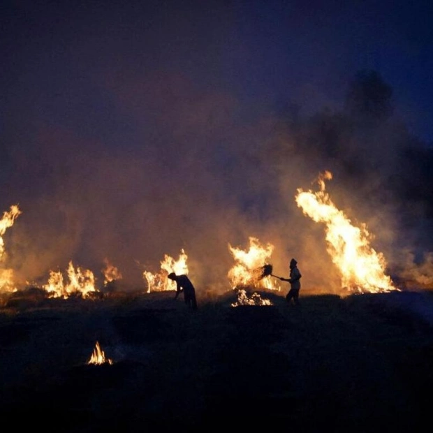 Farmers in India Face Dilemma Over Stubble Burning