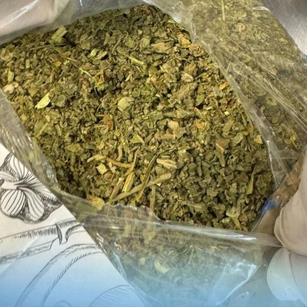 Dubai Customs Thwarts Sophisticated Marijuana Smuggling Operation