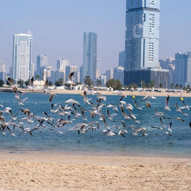 UAE Weather Forecast: Clear Skies with Occasional Cloudiness and Potential Rain