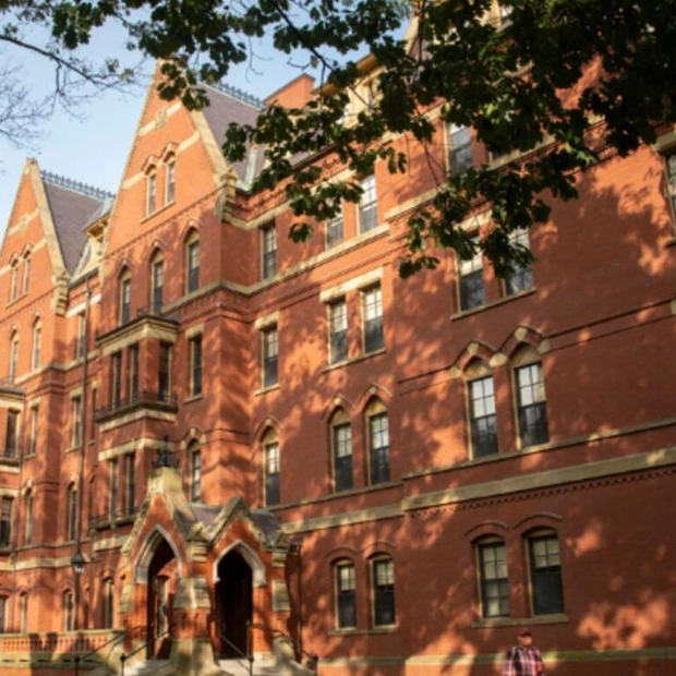 Exploring the Ivy League and Its Academic Alternatives