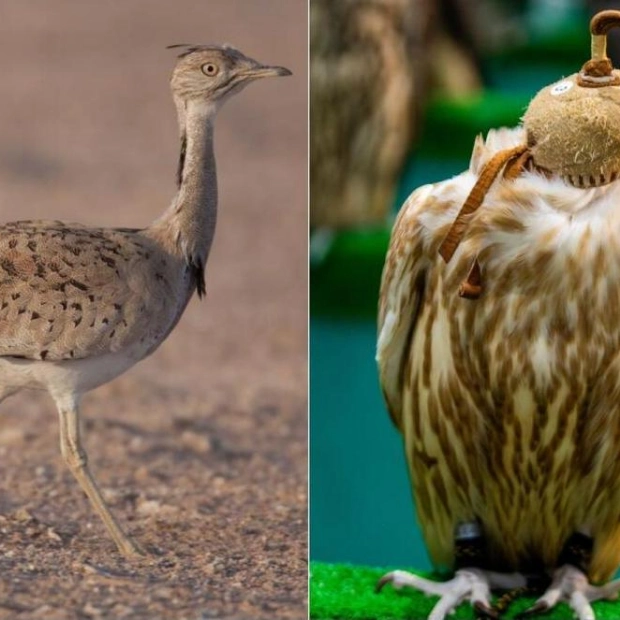 Abu Dhabi Falconry Season Begins October 20