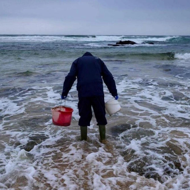 German Scientists Discover Plastic-Eating Fungi