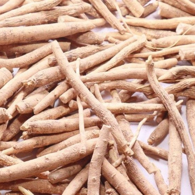 Ashwagandha: Ancient Herb, Modern TikTok Sensation