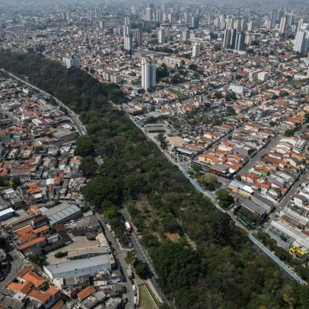 Helio da Silva: The Man Who Planted 40,000 Trees in Sao Paulo