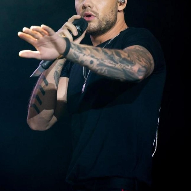 Liam Payne's Career Struggles and Tragic Death