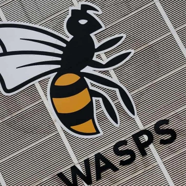 Wasps Eye Return with New Kent Stadium