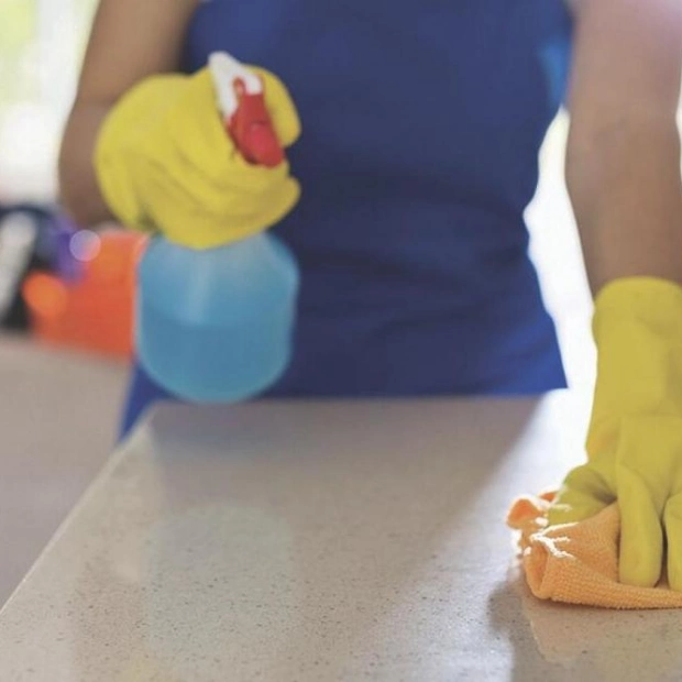 New UAE Regulations Address Domestic Worker Disputes