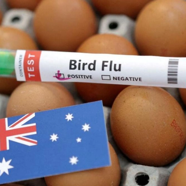 Concerns Rise Over Gaps in Bird Flu Surveillance Amid Pandemic Fears