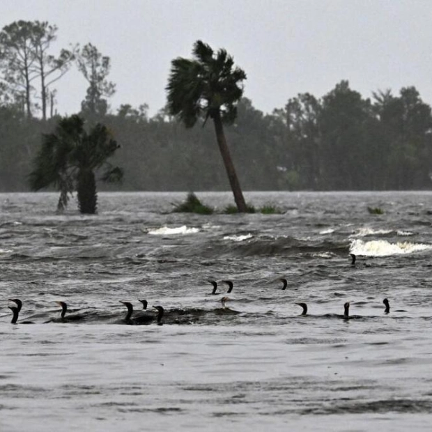 UAE Mission in Houston Advises Caution Amid Hurricane Beryl's Approach