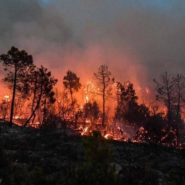 UAE Embassy in Istanbul Warns Citizens of Forest Fires