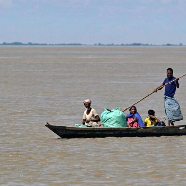 Floods in Assam: 215 Animals Dead, Including 13 Rhinos at Kaziranga