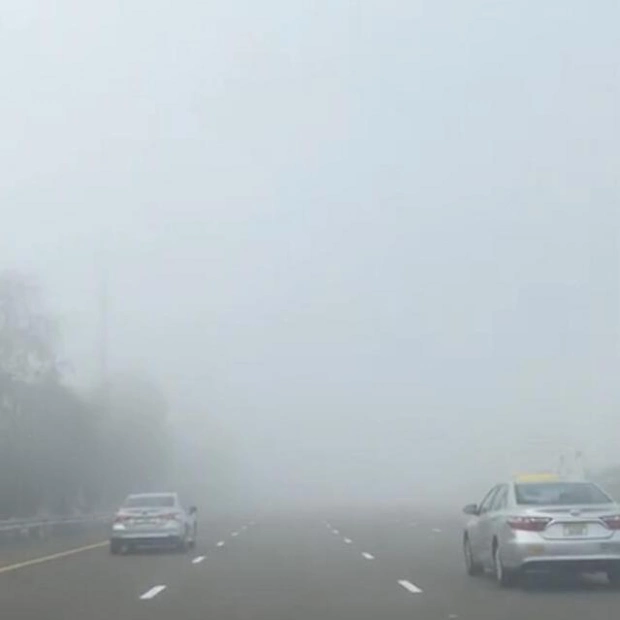 Fog Alerts Issued: Drive with Caution