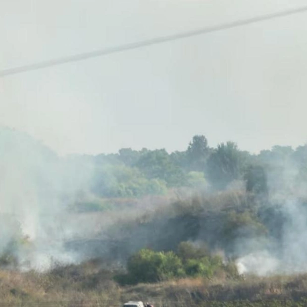 Yemeni Missile Strikes Unpopulated Area in Central Israel, No Injuries Reported