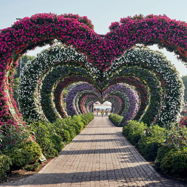 Dubai Miracle Garden - the most beautiful flower garden