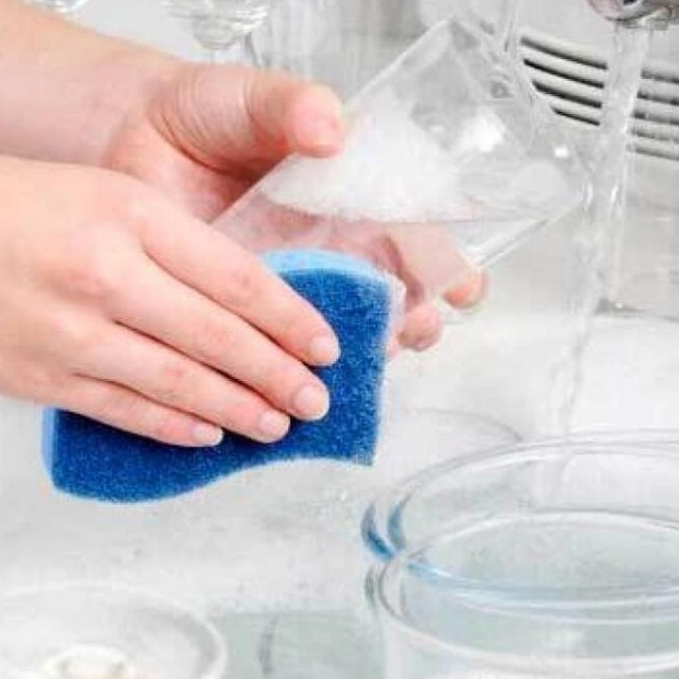 Kitchen Sponges: Hidden Health Hazards