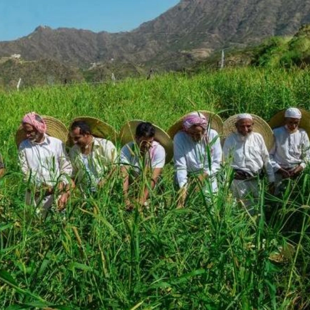 Saudi Arabia Issues Thousands of Agricultural Licenses