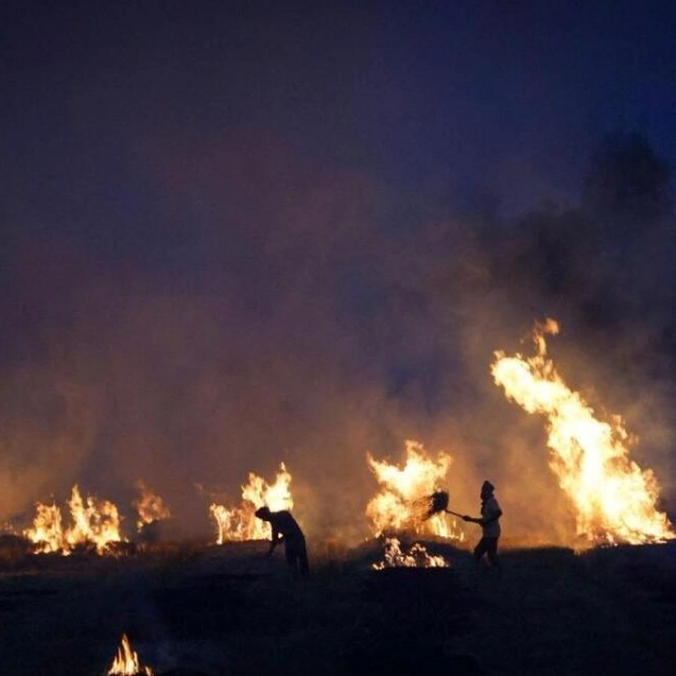 16 Farmers Arrested for Stubble Burning in Haryana