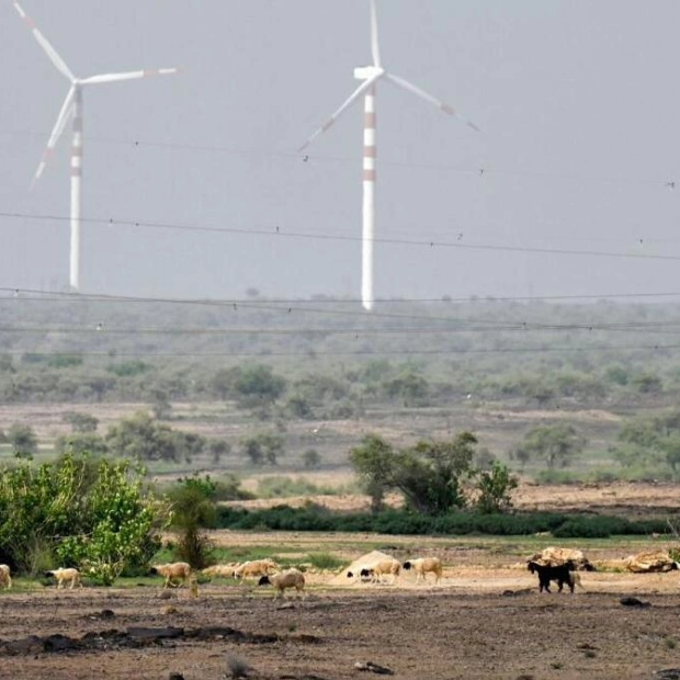 Wind Turbines in India's Thar Desert: A Double-Edged Sword