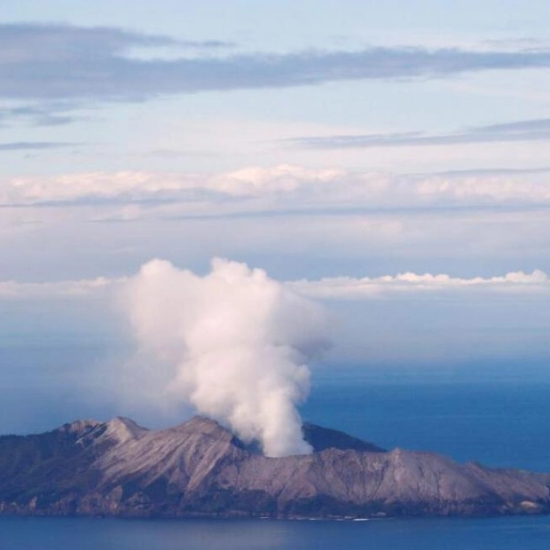 Volcanic Eruption Grounds Flights in New Zealand