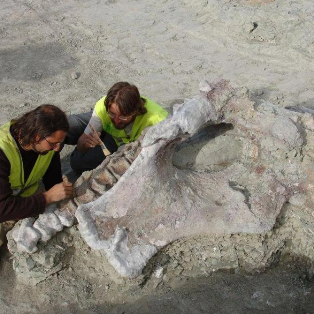 New Dinosaur Species Discovered in Spain